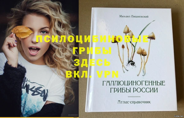 мдма Алапаевск